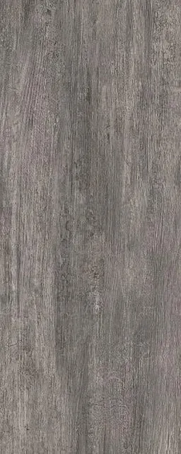 Акация серый тёмный