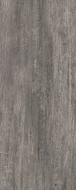 Акация серый тёмный