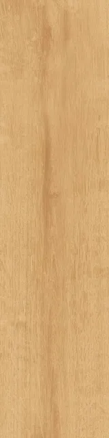 Аргания бежевый