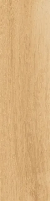 Аргания бежевый — рисунок 4 из 4