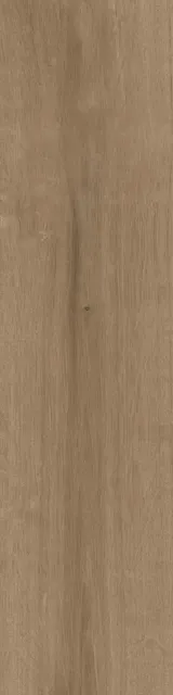 Аргания бежевый тёмный
