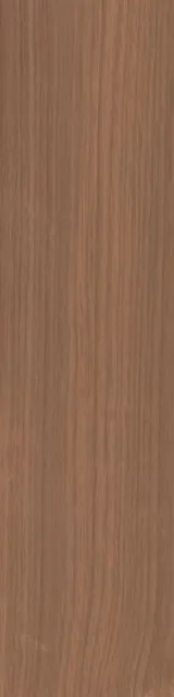 Аргания коричневый