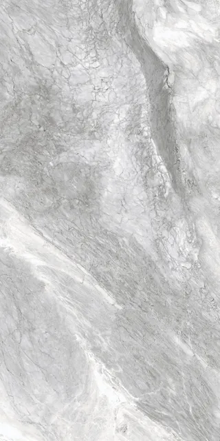 Бардилио серый — рисунок 2 из 4