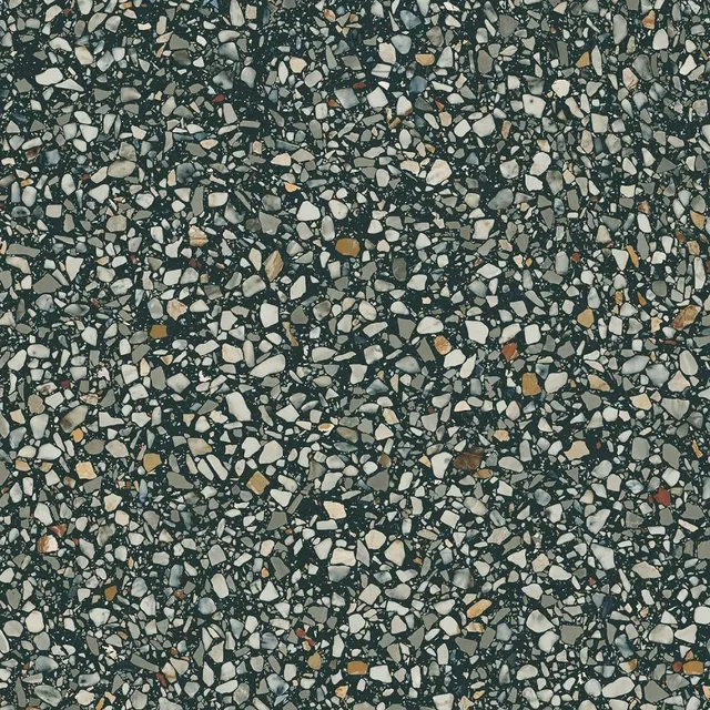 Бричиола чёрный — рисунок 4 из 4