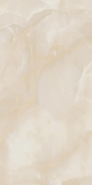 BZ01