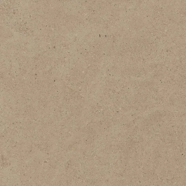 CE01