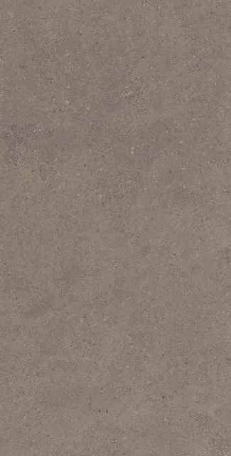CE04