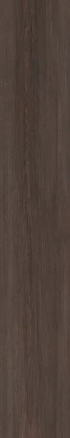 DL02