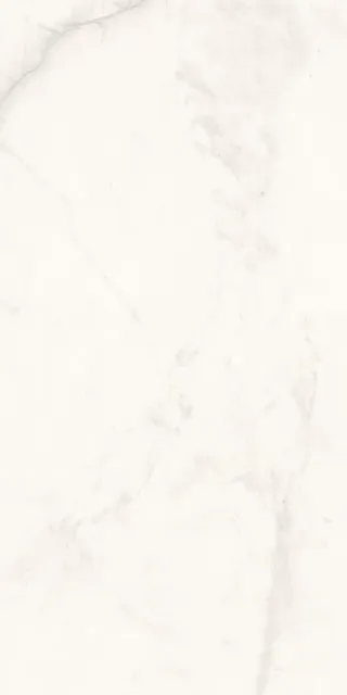Исеть белый — рисунок 2 из 4