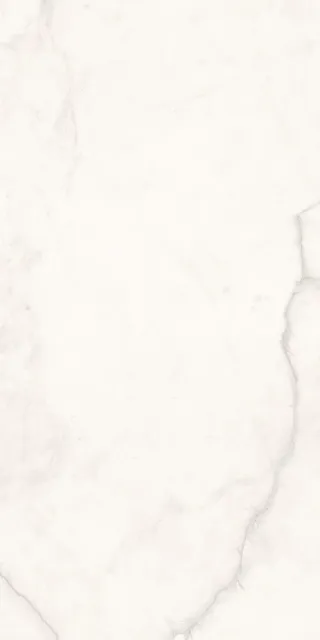 Исеть белый — рисунок 3 из 4