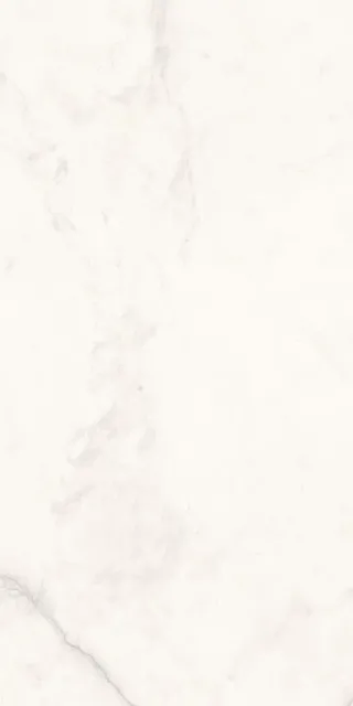 Исеть белый — рисунок 4 из 4
