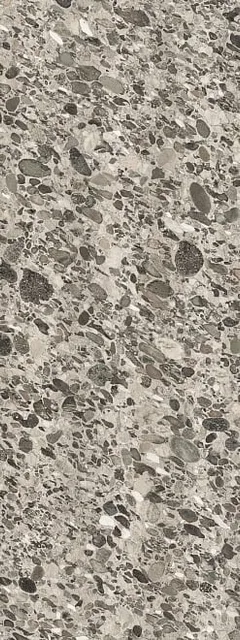Мариначе серый