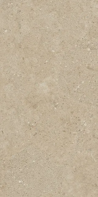NP02