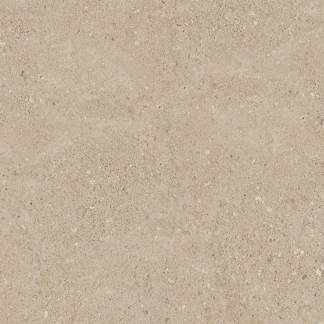 NP02