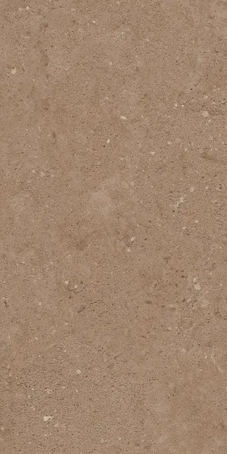 NP03
