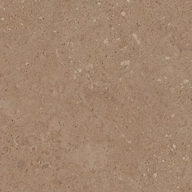 NP03
