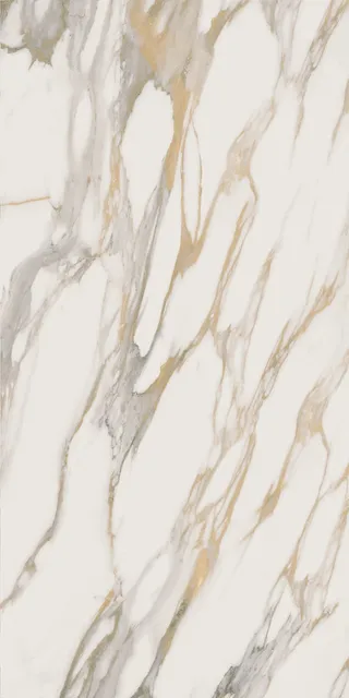 RM01
