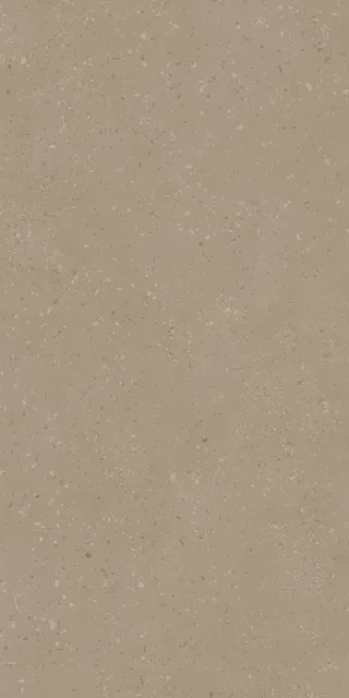 RO01