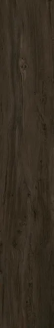 Сальветти — рисунок 3 из 3
