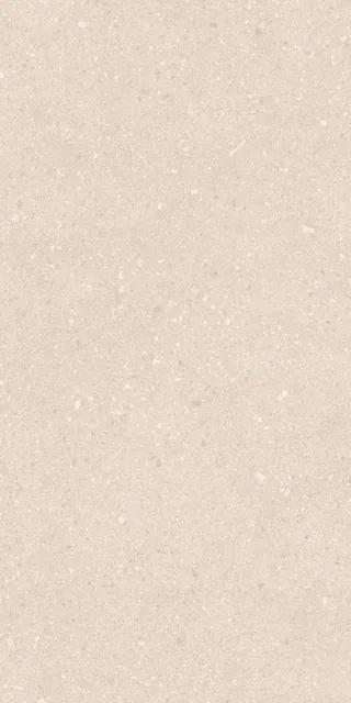 Шихан элегантный — рисунок 4 из 4