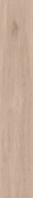 Sl01