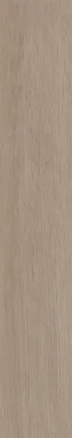 Тьеполо серый светлый