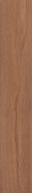 Тровазо карамельный — рисунок 3 из 4