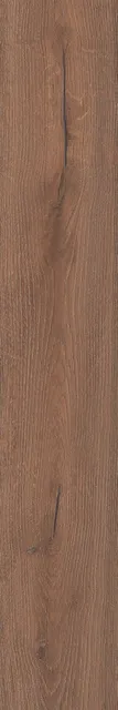 Тровазо коричневый — рисунок 2 из 4