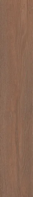 Тровазо коричневый — рисунок 3 из 4
