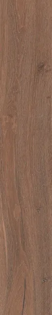 Тровазо коричневый