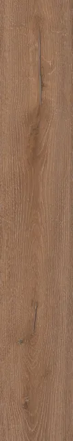 Тровазо коричневый светлый — рисунок 2 из 4