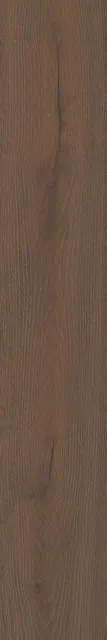 Тровазо коричневый тёмный — рисунок 2 из 4