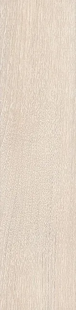 Вяз — рисунок 2 из 3
