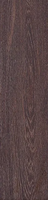 Вяз — рисунок 3 из 3
